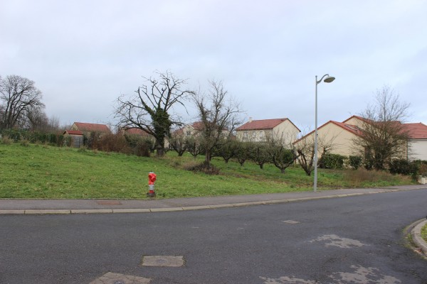 Un verger qui fait office de lisière avec le nouveau quartier de lotissement.