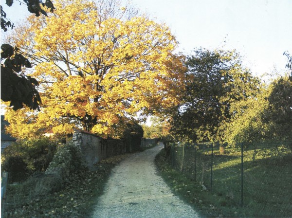 Les paysages de Rozérieulles. (photo apportée par les représentants de la commune)