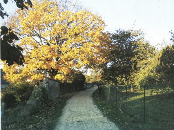 Les paysages de Rozérieulles. (photo apportée par les représentants de la commune)