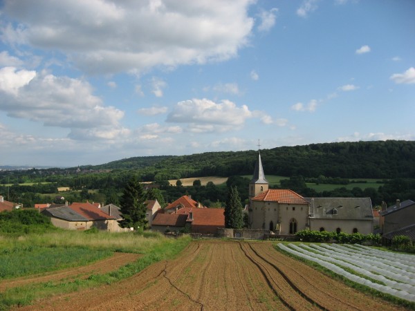 Les reliefs en pente douce du village et les activités agricoles qu'ils accueillent. (photo apportée par la commune)