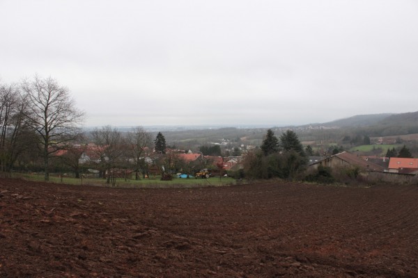 Parcelles cultivées à proximité immédiate du centre ancien.