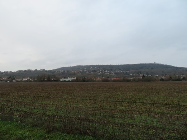 Le Mont Saint-Quentin en impose depuis la fond de la vallée de la Moselle...