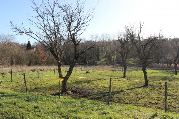 À Plappeville, des espaces ouverts en pied de coteau.