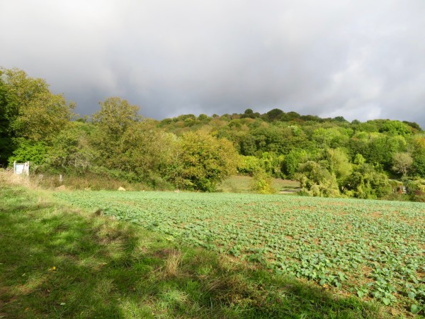 Entrée du chemin