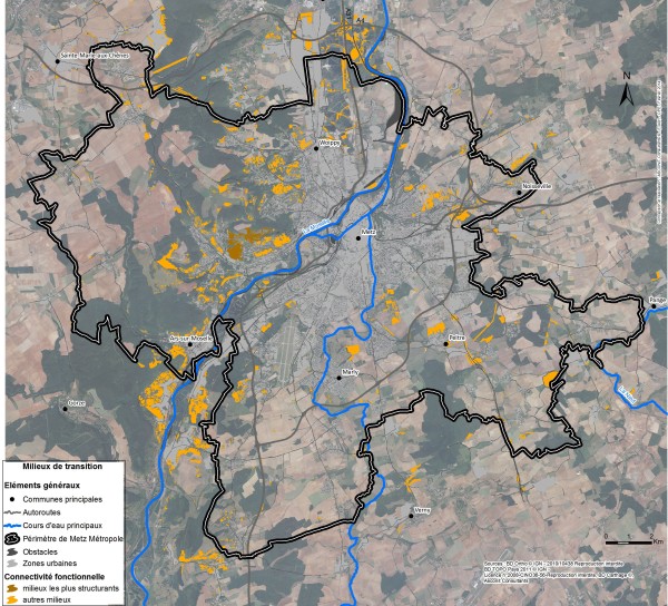 Carte de localisation des milieux de la sous-trame milieux en transition, rapport TVB.