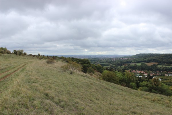 Vue depuis les hauteurs de Saulny sur la vallée du Ruisseau de Saulny qui entaille la Côte.
