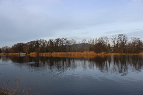 Le Mont Saint-Quentin depuis les bords du canal à Metz.