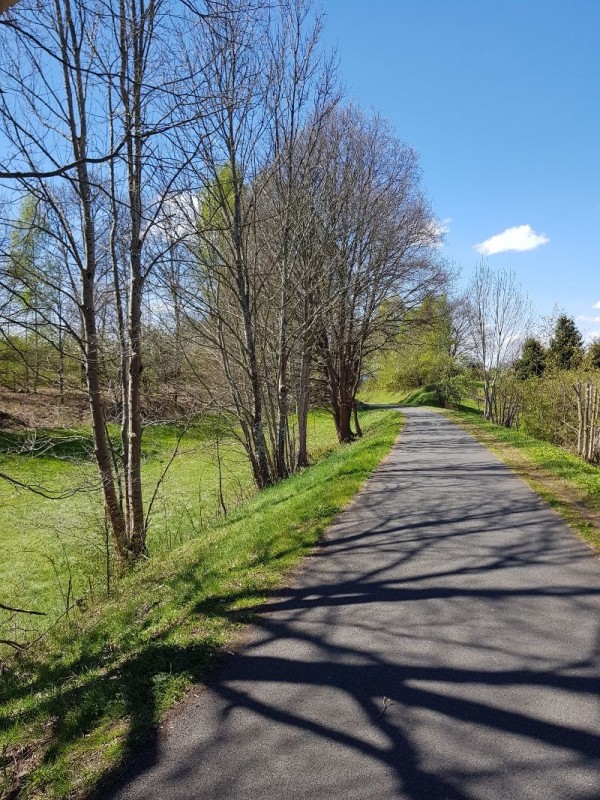 Voie verte des Hautes Vosges, circuit paisible et en immersion