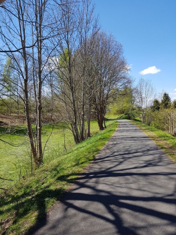Voie verte des Hautes Vosges, circuit paisible et en immersion