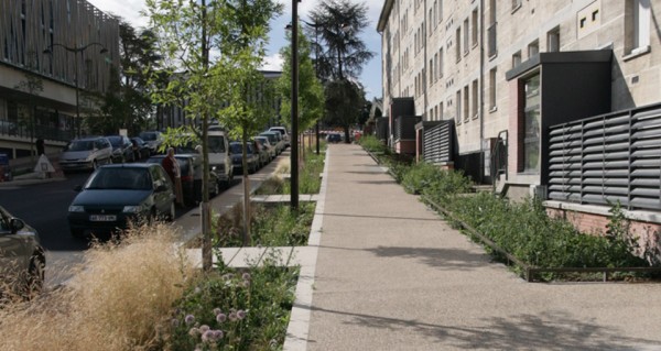 De longues bandes plantées, des fosses généreuses - à Bourges
